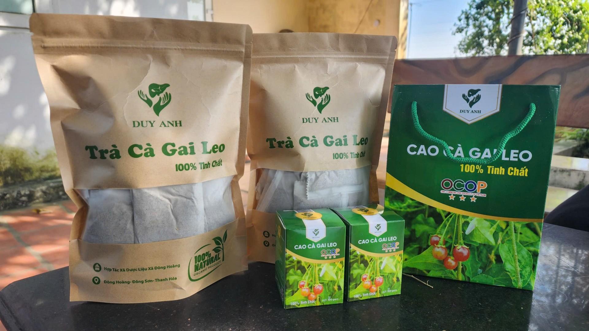 HTX Dược liệu Cao Cà Gai Leo Duy Anh: Hành trình gây dựng thương hiệu OCOP từ vùng đất Đông Sơn