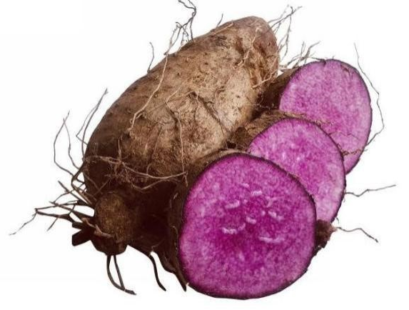 Bảo hộ chỉ dẫn địa lý “Bến Kè” cho sản phẩm khoai mỡ Bảo hộ chỉ dẫn địa lý “Bến Kè” cho sản phẩm khoai mỡ