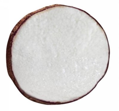 Bảo hộ chỉ dẫn địa lý “Bến Kè” cho sản phẩm khoai mỡ Bảo hộ chỉ dẫn địa lý “Bến Kè” cho sản phẩm khoai mỡ