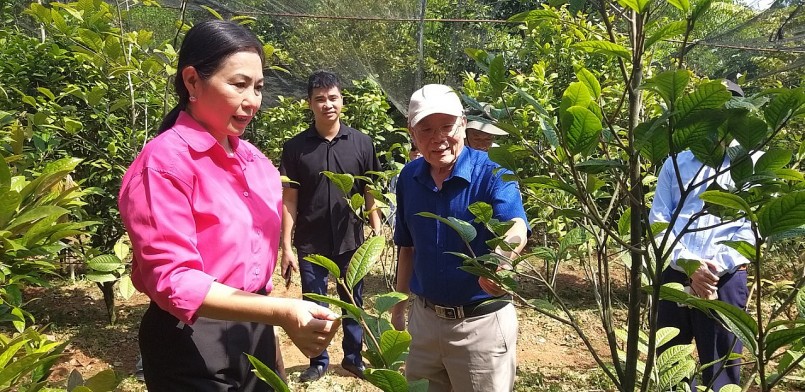 VNPS: Trao Quyết định công nhận Hội viên chính thức đối với HTX Bảo tồn và phát triển Dược liệu Sóc Sơn