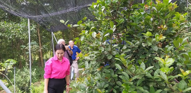 VNPS: Trao Quyết định công nhận Hội viên chính thức đối với HTX Bảo tồn và phát triển Dược liệu Sóc Sơn