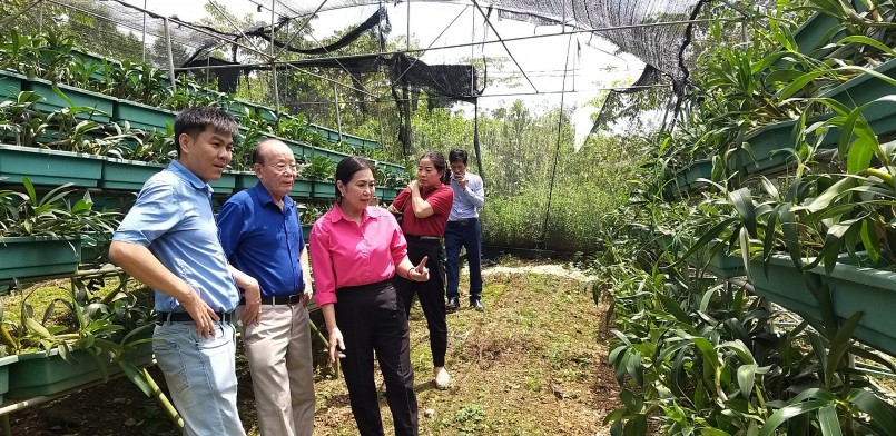 VNPS: Trao Quyết định công nhận Hội viên chính thức đối với HTX Bảo tồn và phát triển Dược liệu Sóc Sơn VNPS: Trao Quyết định công nhận Hội viên chính thức đối với HTX Bảo tồn và phát triển Dược liệu Sóc Sơn