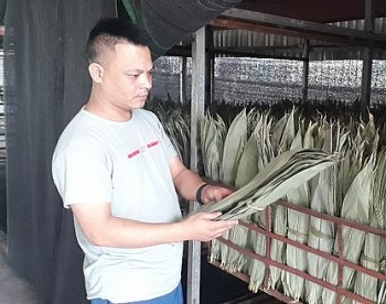 Kiếm tiền tỷ nhờ đi nhặt lá tre