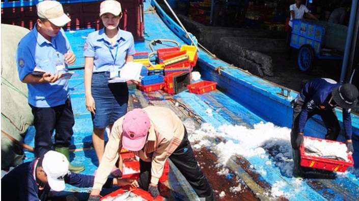 Tăng cường truy xuất nguồn gốc nhằm thúc đẩy lợi nhuận thủy sản toàn cầu