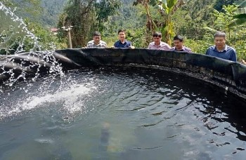 Đưa cá tầm lên núi, thanh niên người Dao mở hướng làm giàu cho cả bản