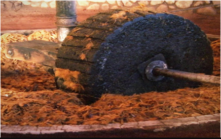 Bảo hộ chỉ dẫn địa lý “TEQUILA” cho sản phẩm rượu Bảo hộ chỉ dẫn địa lý “TEQUILA” cho sản phẩm rượu