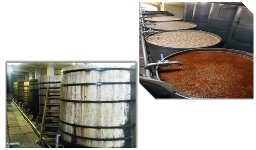 Bảo hộ chỉ dẫn địa lý “TEQUILA” cho sản phẩm rượu Bảo hộ chỉ dẫn địa lý “TEQUILA” cho sản phẩm rượu