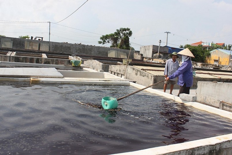 Phải đem chượp đi phơi nắng, thỉnh thoảng đánh đảo đều cho ngấu Phải đem chượp đi phơi nắng, thỉnh thoảng đánh đảo đều cho ngấu