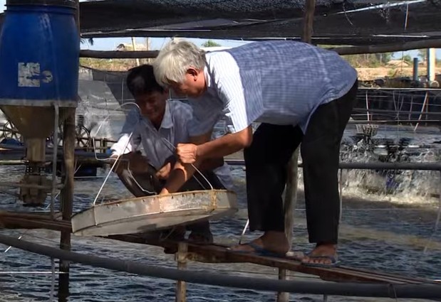 Nuôi tôm công nghệ cao, bỏ túi sơ sơ 6 tỷ đồng mỗi năm, bà con học hỏi ngay để làm giàu