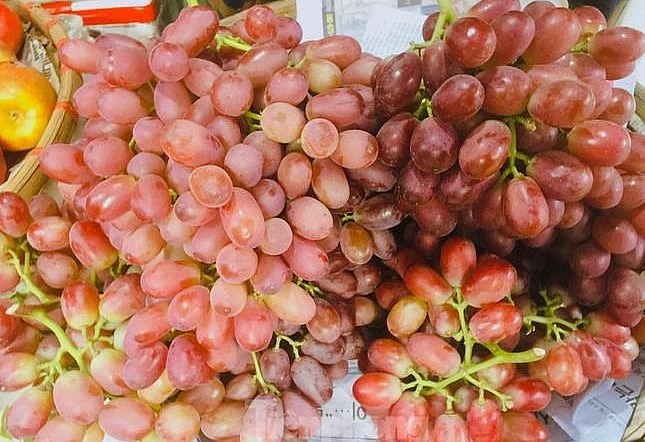 Theo các tiểu thương, nho giá rẻ có nguồn gốc từ Trung Quốc. Theo các tiểu thương, nho giá rẻ có nguồn gốc từ Trung Quốc.