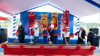 Khởi công xây dựng “rừng băng tuyết” đầu tiên tại Việt Nam