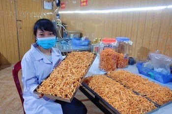 Trai Hà Tĩnh bất ngờ thu tiền tỷ nhờ trồng thành công nấm quý tăng sinh lực đàn ông