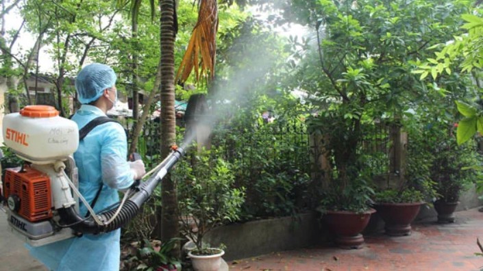 Bộ Y tế đề nghị triển khai ngay chiến dịch diệt lăng quăng/bọ gậy