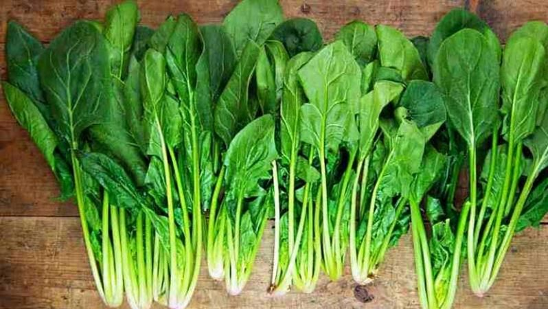 Loại rau được gọi là 