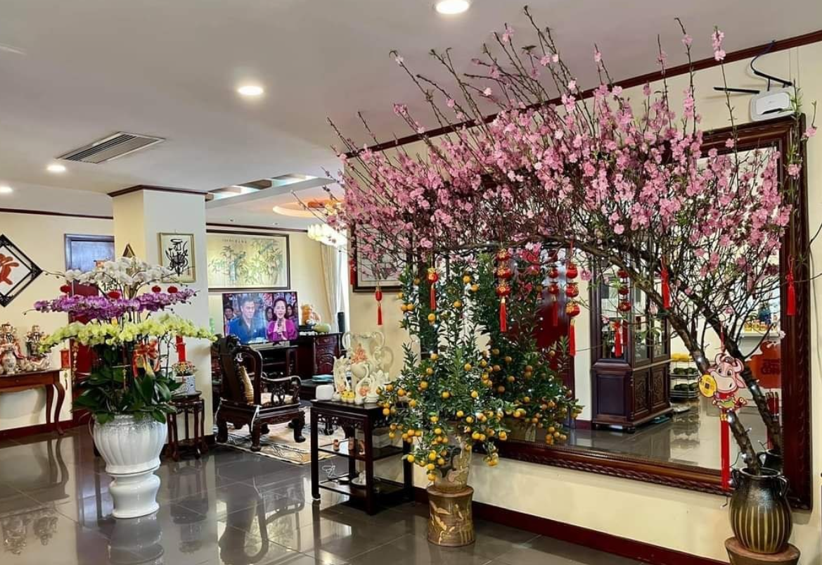 Ngày Tết hãy đặt đào, quất, mai ở vị trí phong thủy này để rước lộc vào nhà