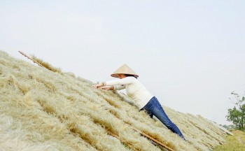 Miến dong làng So thơm thảo mâm cỗ Tết cổ truyền