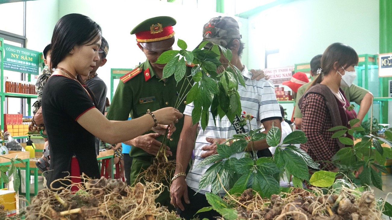 Lễ hội Sâm cấp quốc gia lần thứ I/2023 dự kiến sẽ tổ chức vào đầu tháng 8