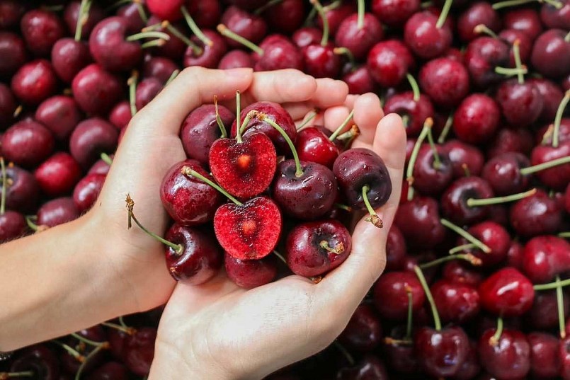 Các lợi ích của quả cherry đối với sức khỏe Các lợi ích của quả cherry đối với sức khỏe