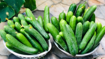 Loại quả dân dã bán 20.000 đồng/kg đầy chợ khiến phụ nữ Nhật rất mê, ăn vào đẹp từ dáng đến da