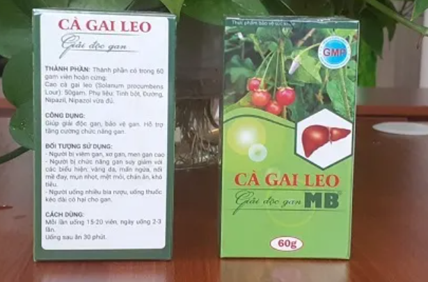 Cẩn trọng với sản phẩm TPBVSK Cà Gai Leo Giải Độc Gan MB vi phạm quy định của pháp luật Cẩn trọng với sản phẩm TPBVSK Cà Gai Leo Giải Độc Gan MB vi phạm quy định của pháp luật