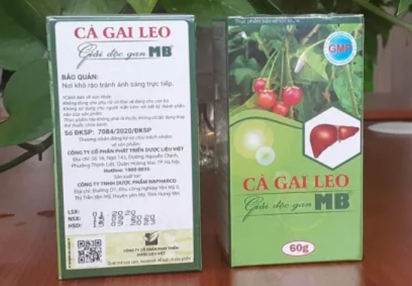 Cẩn trọng với sản phẩm TPBVSK Cà Gai Leo Giải Độc Gan MB vi phạm quy định của pháp luật Cẩn trọng với sản phẩm TPBVSK Cà Gai Leo Giải Độc Gan MB vi phạm quy định của pháp luật