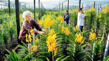 Nghiên cứu đưa khoa học và công nghệ phục vụ xây dựng nông thôn mới