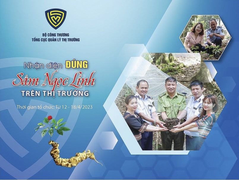 Phòng Trưng bày với chủ đề “Nhận diện đúng sâm Ngọc Linh trên thị trường” sẽ diễn ra từ 12-18/4/2023 tại địa chỉ 62 Tràng Tiền, Hoàn Kiếm, Hà Nội Phòng Trưng bày với chủ đề “Nhận diện đúng sâm Ngọc Linh trên thị trường” sẽ diễn ra từ 12-18/4/2023 tại địa chỉ 62 Tràng Tiền, Hoàn Kiếm, Hà Nội