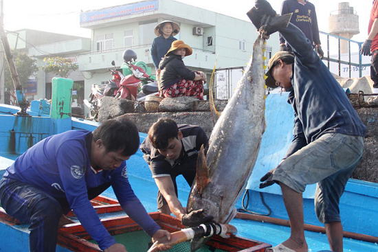 EC lùi thời hạn thanh tra chống khai thác IUU tại Việt Nam
