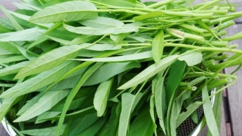 Cách nhận biết rau muống sạch, rau muống bẩn ai cũng làm được