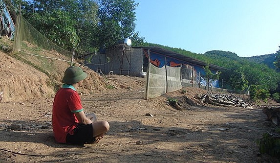 anh Phạm Văn Chính ở xóm Nhân Tiến chỉ còn biết thở dài, thẫn thờ nhìn đàn gà. anh Phạm Văn Chính ở xóm Nhân Tiến chỉ còn biết thở dài, thẫn thờ nhìn đàn gà.