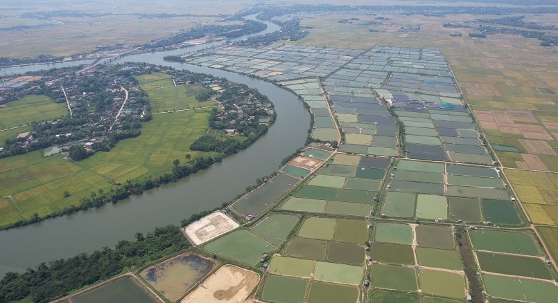 Đến nay diện tích đầm tôm chết trắng lên tới gần 170ha.