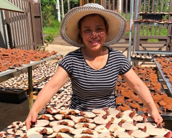 Bất ngờ với trại nấm linh chi đỏ quý hiếm cho lợi nhuận 300 triệu/năm trên vùng đất Tây Nguyên