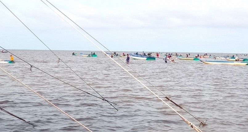 Việc khai thác nghêu giống vẫn diễn ra, các lực lượng chức năng vẫn bám sát địa bàn để đảm bảo an ninh trật tự. Việc khai thác nghêu giống vẫn diễn ra, các lực lượng chức năng vẫn bám sát địa bàn để đảm bảo an ninh trật tự.