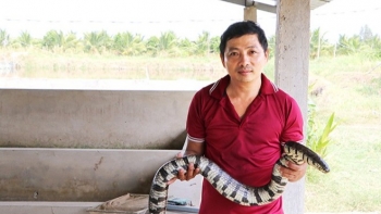 Đánh liều bắt rắn tự nhiên về nhân giống, 2 anh nông dân bỗng thành ông chủ, thu nhập trăm triệu mỗi năm
