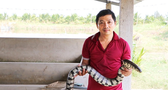 Anh Võ Hoàng Vĩnh kiểm tra rắn ri voi chuẩn bị sinh sản trong bể nuôi của gia đình Anh Võ Hoàng Vĩnh kiểm tra rắn ri voi chuẩn bị sinh sản trong bể nuôi của gia đình