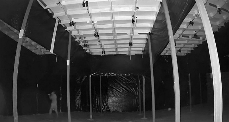 Camera ghi lại hình ảnh tên trộm đột nhập nhà yến của doanh nghiệp Trí Sơn tại Thị xã Cai Lậy.