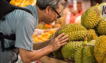 Sầu riêng đã trở thành hàng hiếm ở Trung Quốc chỉ dám mua làm quà biếu