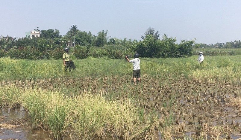 Kiểm lâm Quảng Nam tịch thu lưới tàng hình ở huyện Thăng Bình. Kiểm lâm Quảng Nam tịch thu lưới tàng hình ở huyện Thăng Bình.