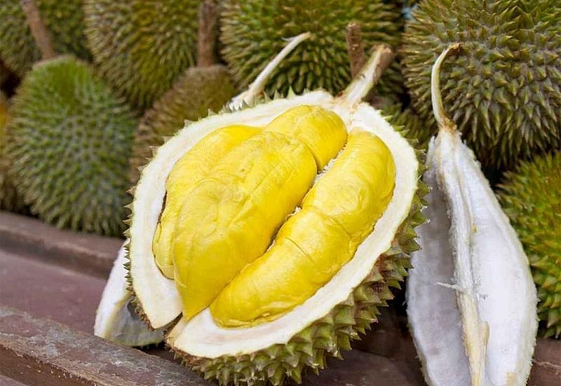 Sầu riêng là loại quả gây ra hai thái cực: rất thích hoặc rất ghét. 