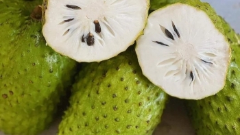 Loại quả bình dân bất ngờ tăng vọt gấp đôi giá sầu riêng, công dụng thần kỳ hay đu trend?