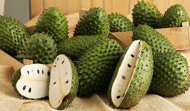 Sau khi đạt mức giá kỷ lục là 120.000 - 130.000 đồng/kg, mãng cầu xiêm đã dần hạ nhiệt. Sau khi đạt mức giá kỷ lục là 120.000 - 130.000 đồng/kg, mãng cầu xiêm đã dần hạ nhiệt.