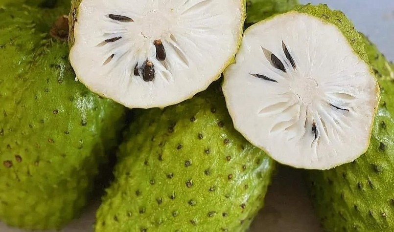 Trái mãng cầu xiêm liên tục gây sốt giá suốt mùa hè năm nay. Trái mãng cầu xiêm liên tục gây sốt giá suốt mùa hè năm nay.