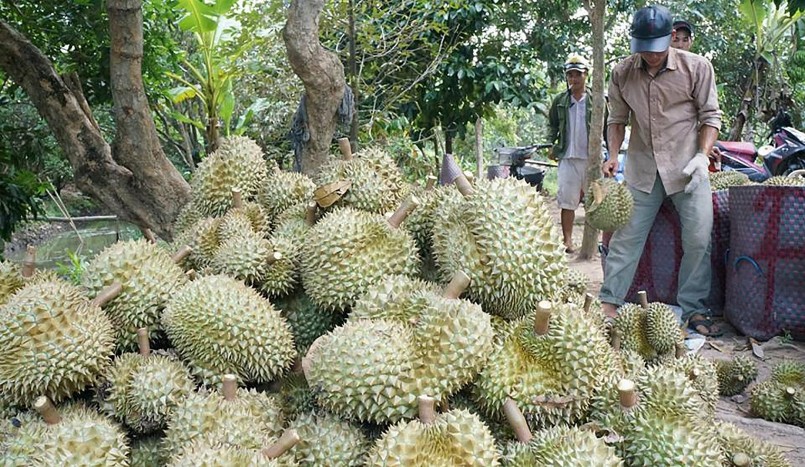 Theo thông báo, vừa qua, nhiều container của Việt Nam đi qua chất lượng không tốt, bị yếu, bị sượng, bị non.