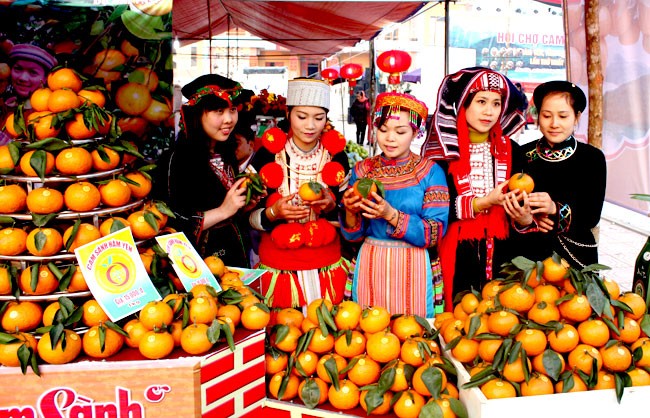 Cam sành Hàm Yên có vị ngọt đậm, thanh mát Cam sành Hàm Yên có vị ngọt đậm, thanh mát