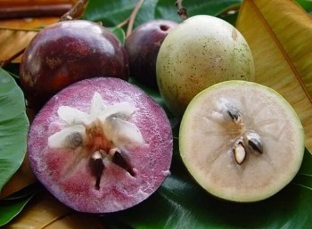 Đếm hết 10 ngón tay chưa hết lợi ích của vú sữa