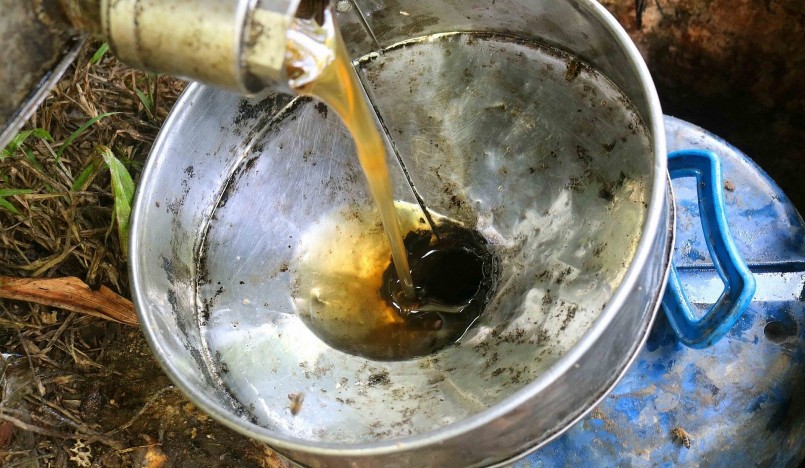 Hiện giá mật ong được thu mua ở các trại ong trên địa bàn Nghệ An chỉ dao động từ 9.000 - 10.000 đồng/kg, thậm chí những loại mật xấu chỉ bán được 7.500 - 8.000 đồng/kg. Ảnh: Huy Thư Hiện giá mật ong được thu mua ở các trại ong trên địa bàn Nghệ An chỉ dao động từ 9.000 - 10.000 đồng/kg, thậm chí những loại mật xấu chỉ bán được 7.500 - 8.000 đồng/kg. Ảnh: Huy Thư