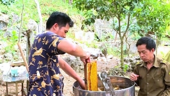 Nuôi con đặc sản bay thành đàn, nhả ra thứ mật ngọt hơn đường, nhà nông thu nhập cao