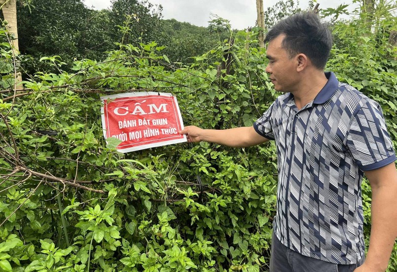 Cần có giải pháp để giải quyết triệt để tình trạng kích giun đất trộm. Cần có giải pháp để giải quyết triệt để tình trạng kích giun đất trộm.