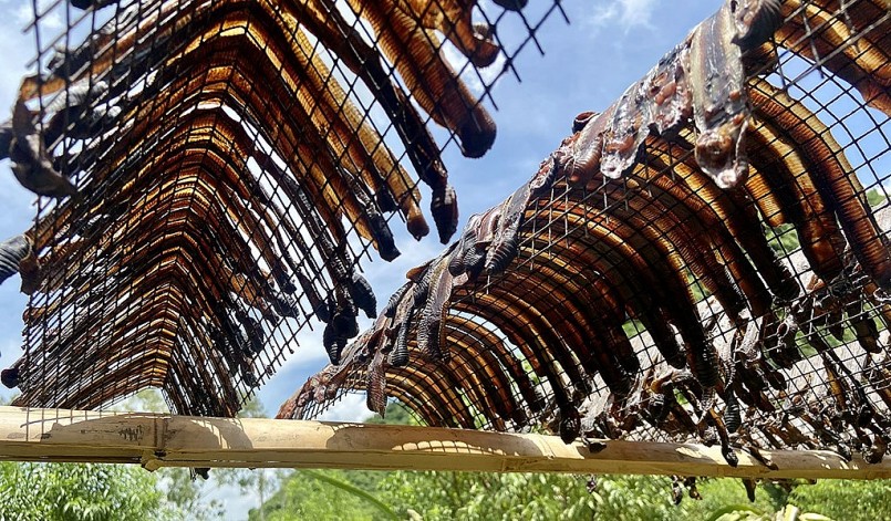 Hiện tượng kích giun đất rồi phơi khô để bán sang Trung Quốc đang gây bức xúc với nguy cơ hủy hoại đất nông nghiệp. Hiện tượng kích giun đất rồi phơi khô để bán sang Trung Quốc đang gây bức xúc với nguy cơ hủy hoại đất nông nghiệp.