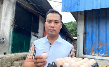 Điều bất ngờ về ông chủ trại gà mỗi năm thu 2 tỷ đồng ở Thanh Hóa